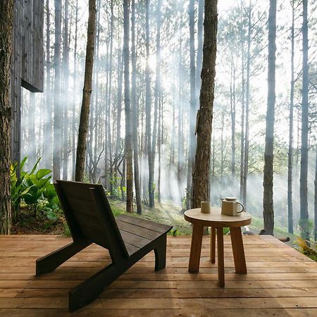 Mo Stay - Forest Resort Νταλάτ Εξωτερικό φωτογραφία