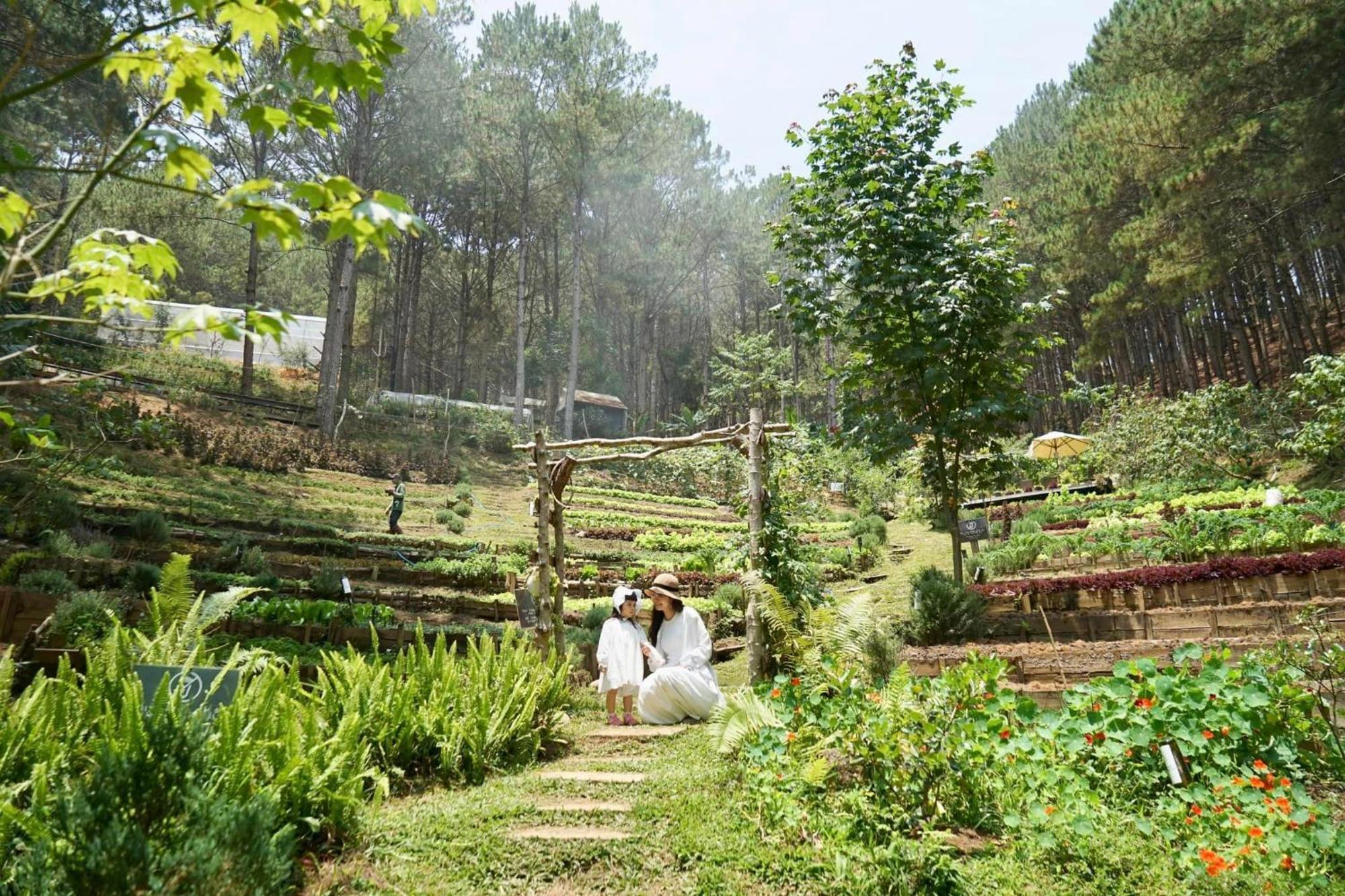 Mo Stay - Forest Resort Νταλάτ Εξωτερικό φωτογραφία