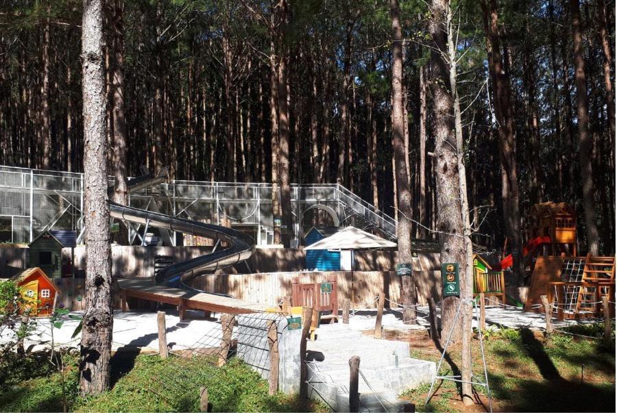Mo Stay - Forest Resort Νταλάτ Εξωτερικό φωτογραφία