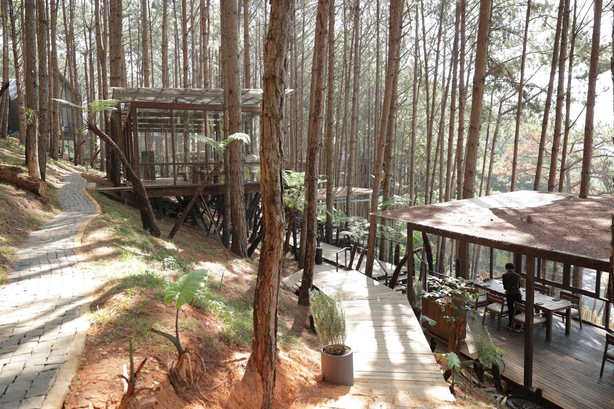 Mo Stay - Forest Resort Νταλάτ Εξωτερικό φωτογραφία