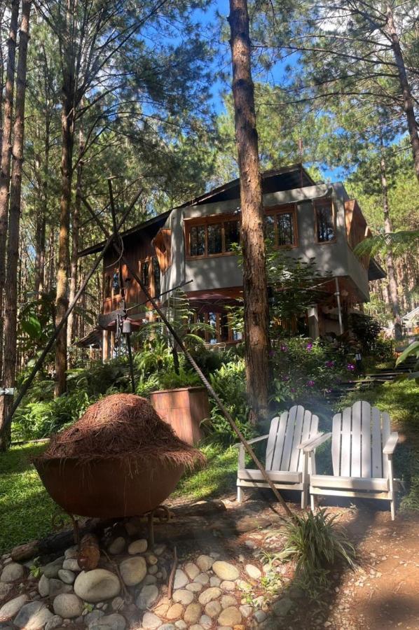 Mo Stay - Forest Resort Νταλάτ Εξωτερικό φωτογραφία