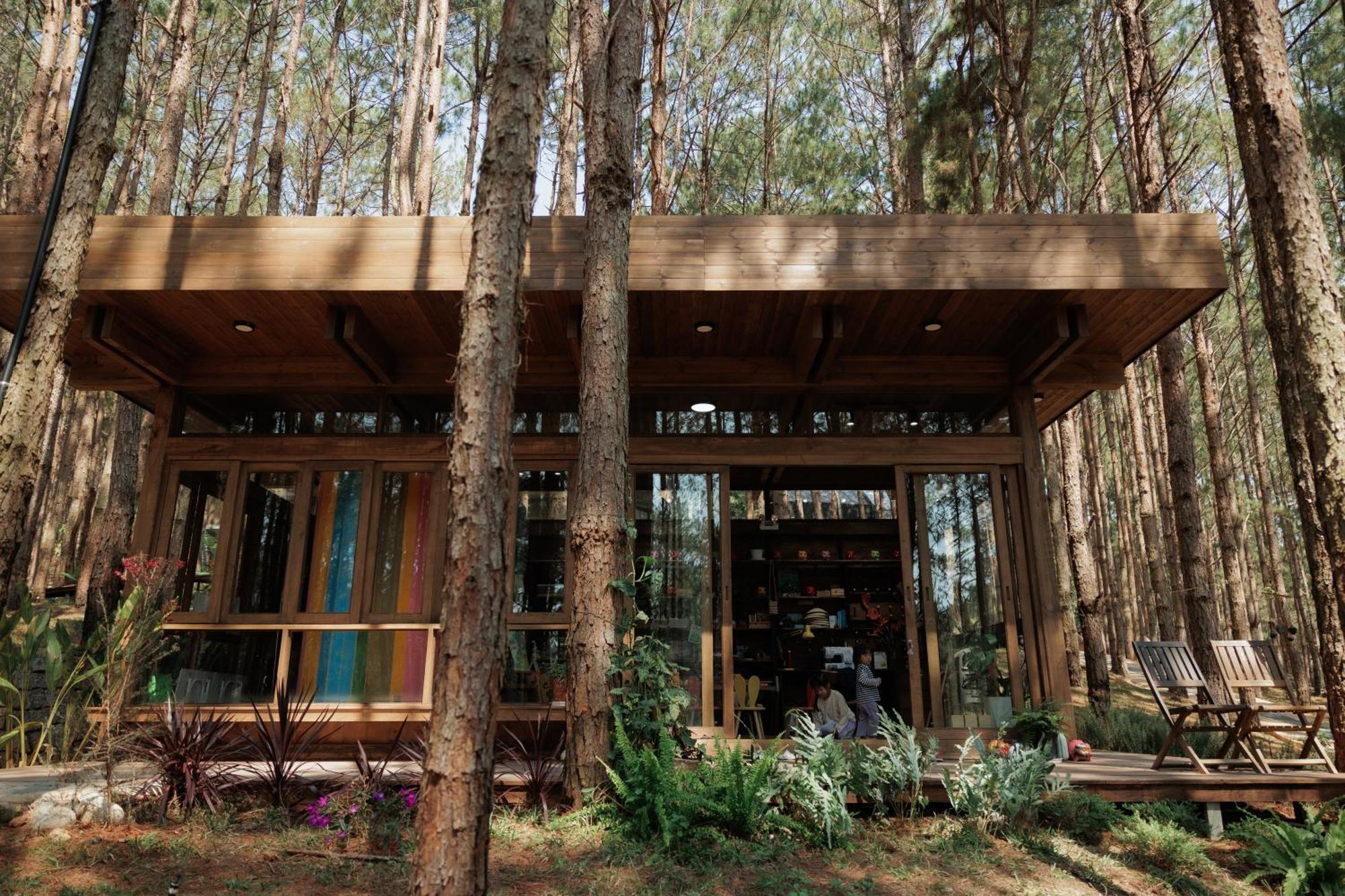 Mo Stay - Forest Resort Νταλάτ Εξωτερικό φωτογραφία