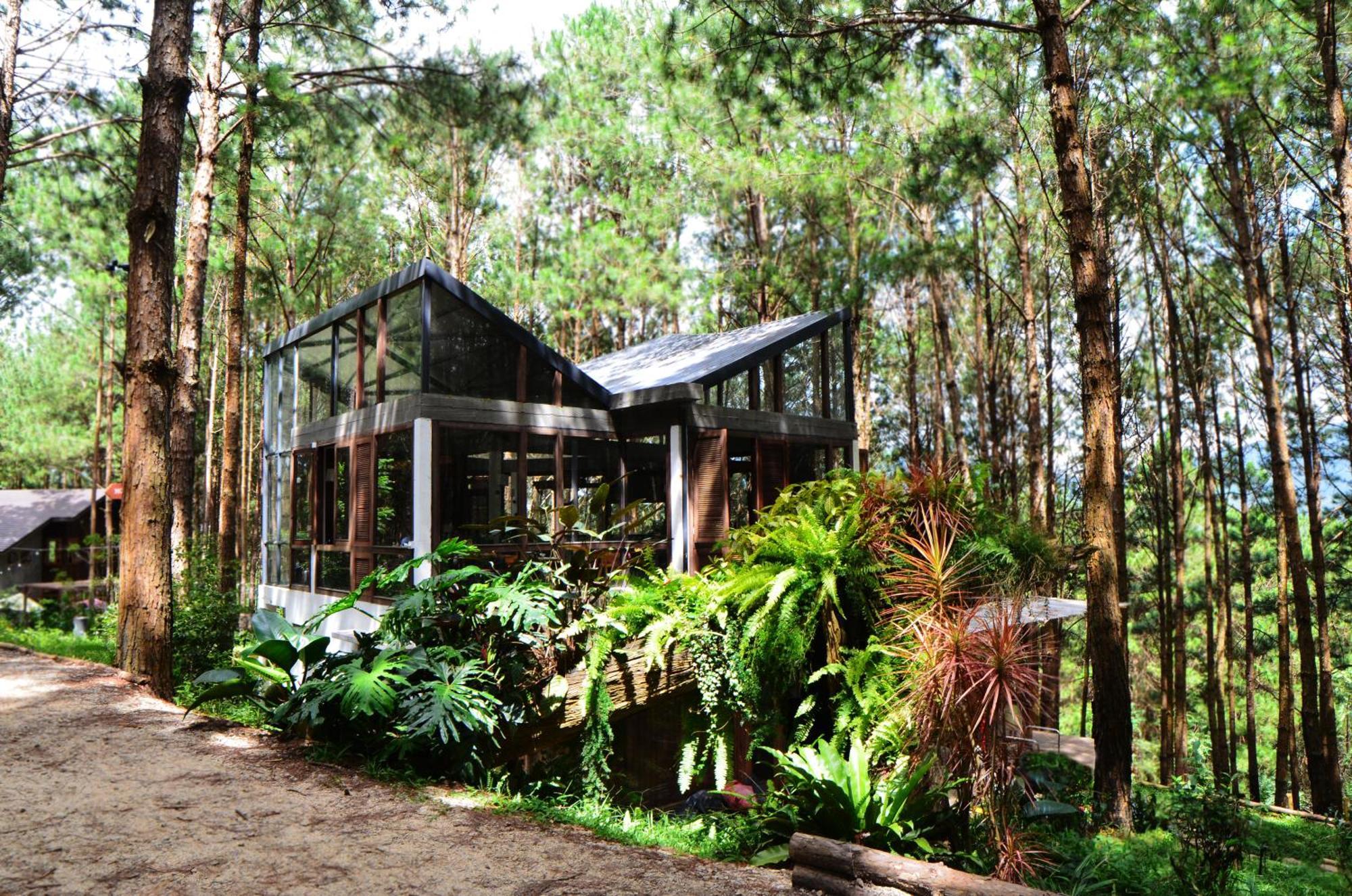 Mo Stay - Forest Resort Νταλάτ Εξωτερικό φωτογραφία