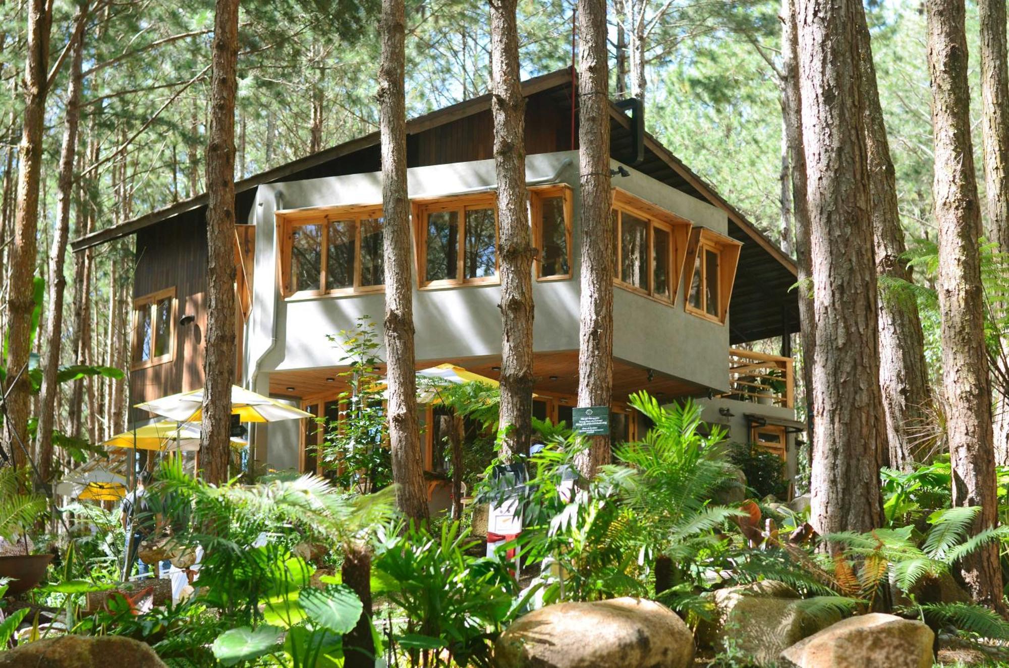 Mo Stay - Forest Resort Νταλάτ Εξωτερικό φωτογραφία