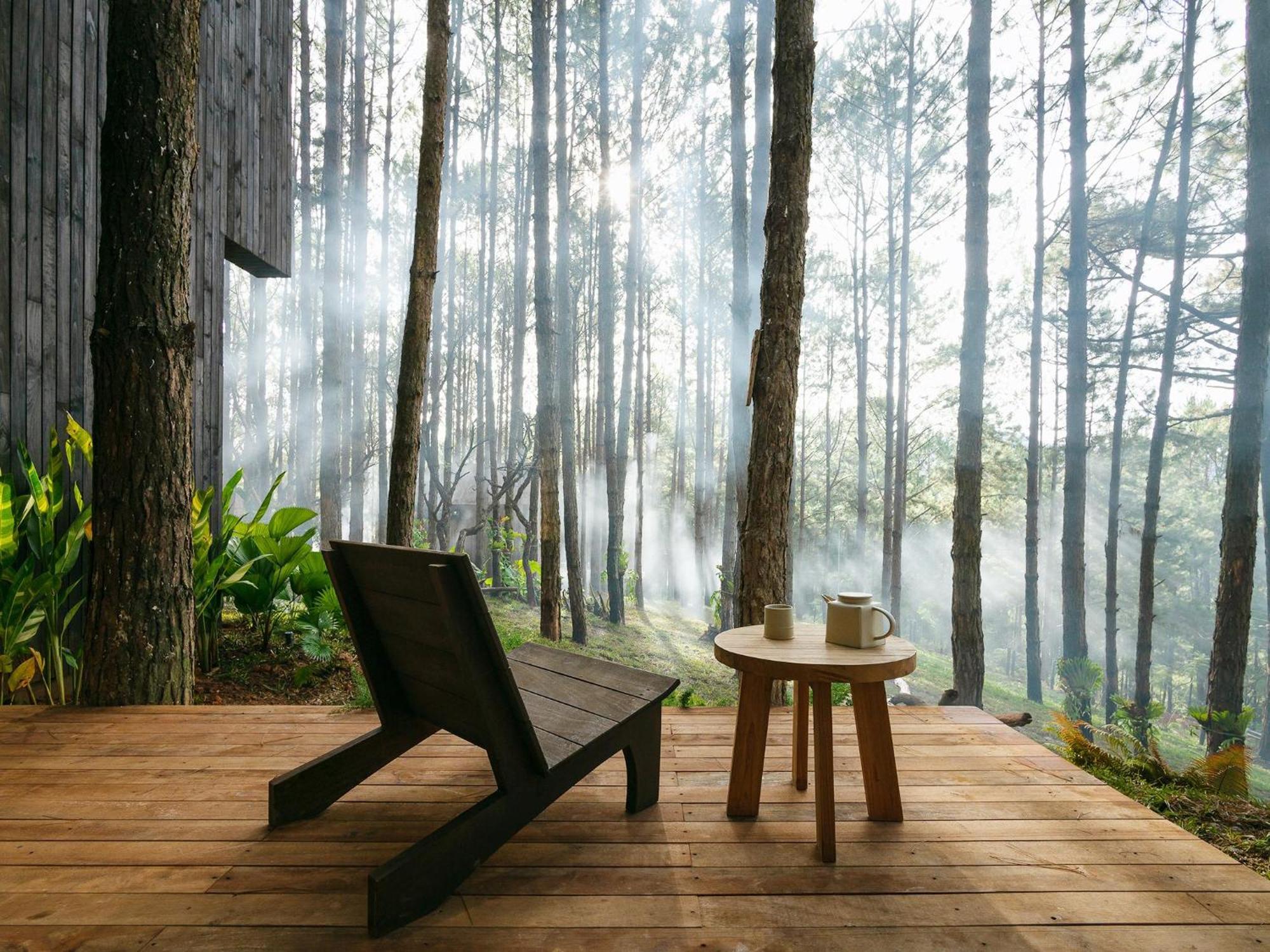 Mo Stay - Forest Resort Νταλάτ Εξωτερικό φωτογραφία