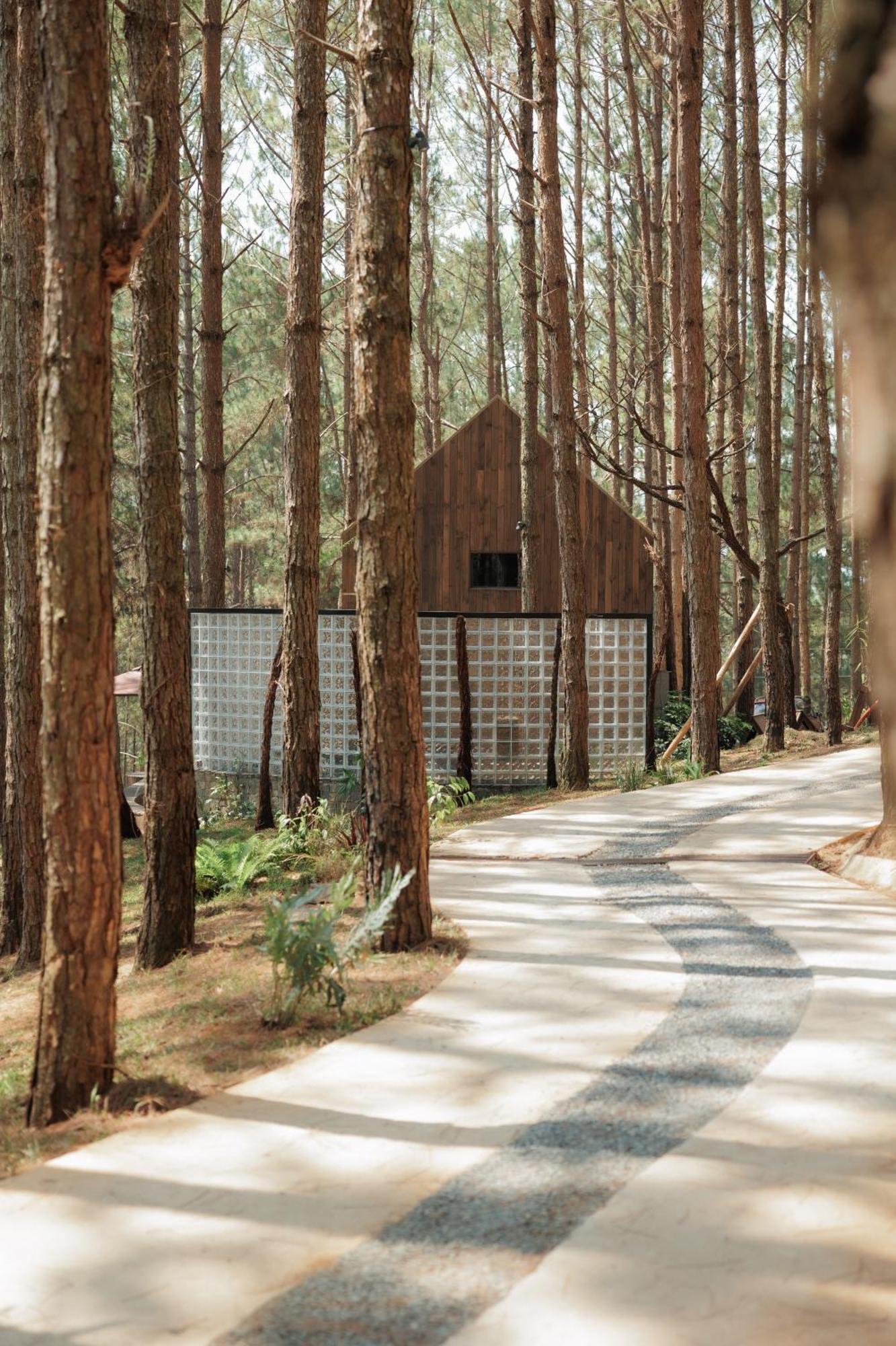 Mo Stay - Forest Resort Νταλάτ Εξωτερικό φωτογραφία