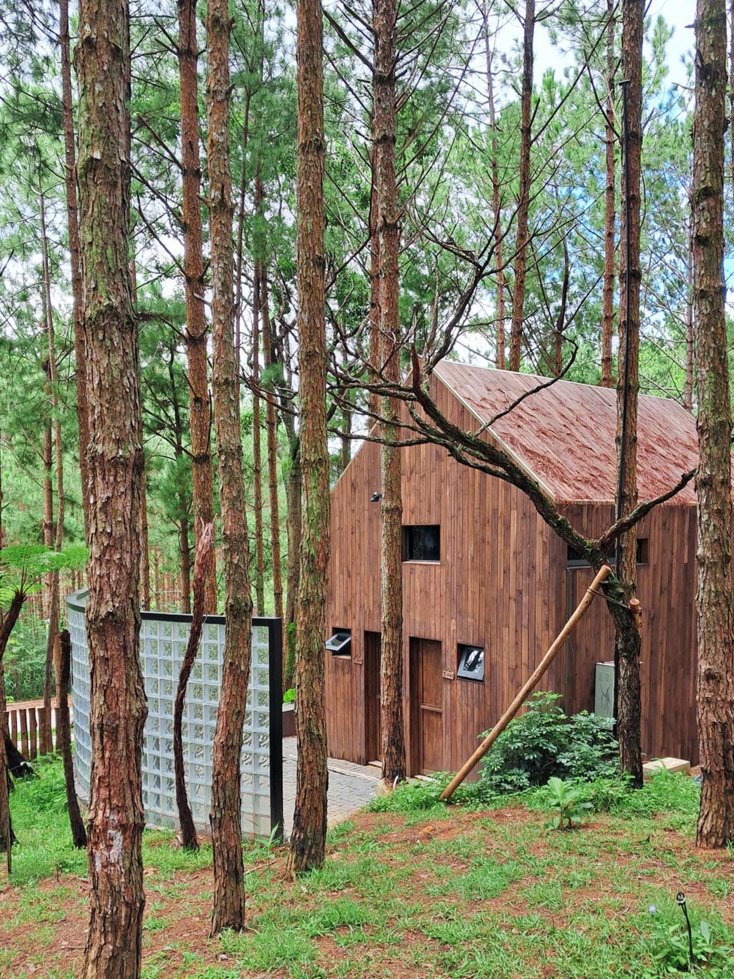 Mo Stay - Forest Resort Νταλάτ Εξωτερικό φωτογραφία
