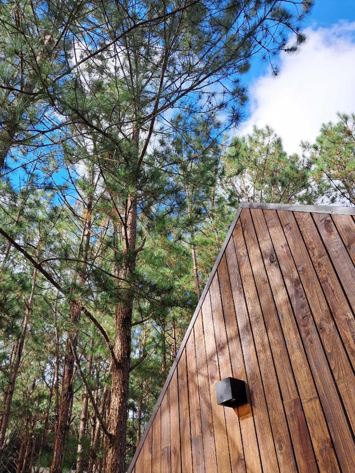 Mo Stay - Forest Resort Νταλάτ Εξωτερικό φωτογραφία